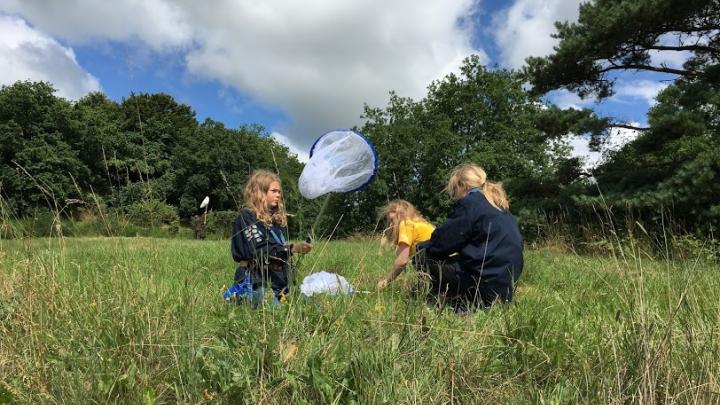 Spejdere i naturen